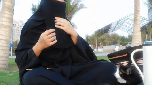 娱乐吃瓜君和七七原视频